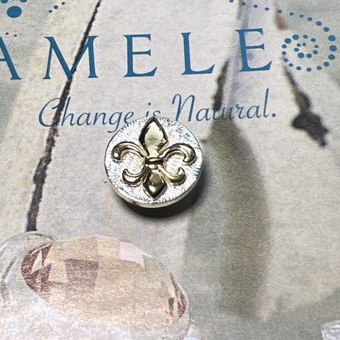 KJP289 - Rare Sterling Silver Fleur De Lis JewelPop with 18kt Gold Overlay